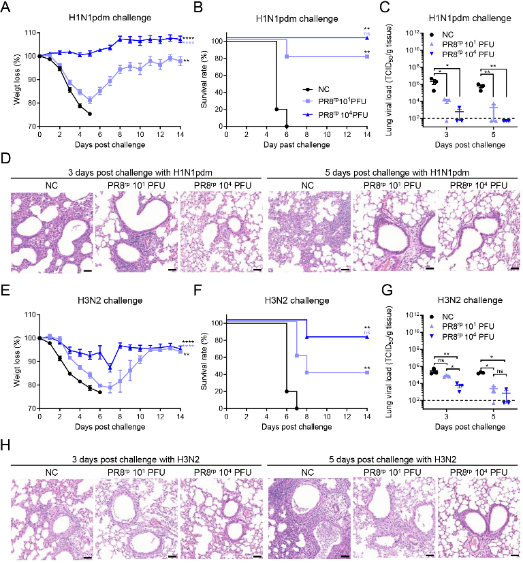 1765416155468489.png 1765416155468489.png