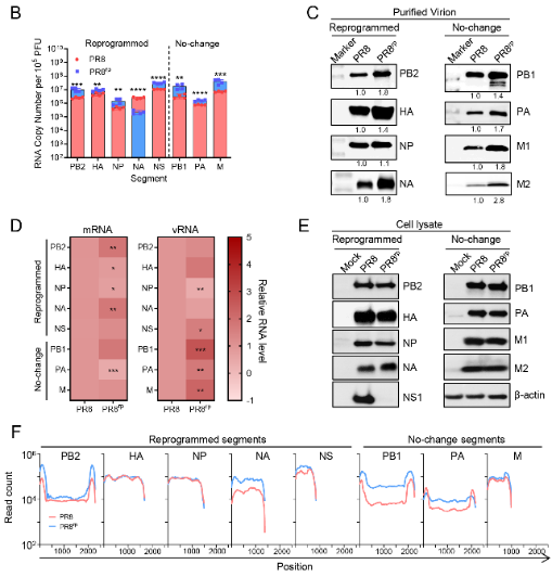 1765416225922579.png 1765416225922579.png