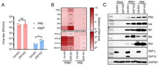 1765416264726066.png 1765416264726066.png