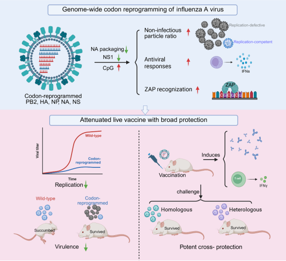 1765416333155550.png 1765416333155550.png