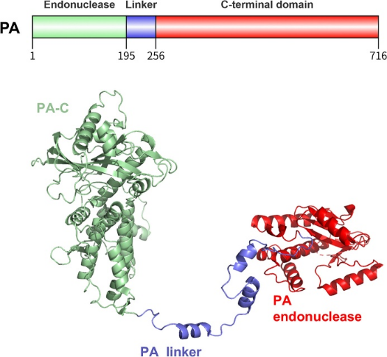 1765502145765552.png 1765502145765552.png