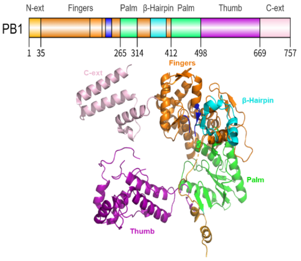 1765502186162726.png 1765502186162726.png