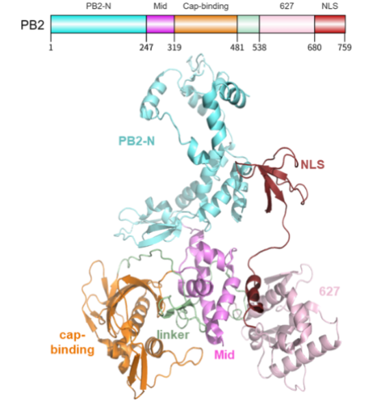 1765502228246375.png 1765502228246375.png