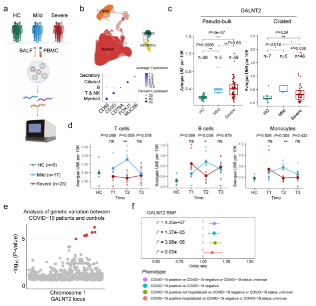 1765765302334628.png 1765765302334628.png