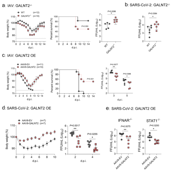 1765765328664890.png 1765765328664890.png