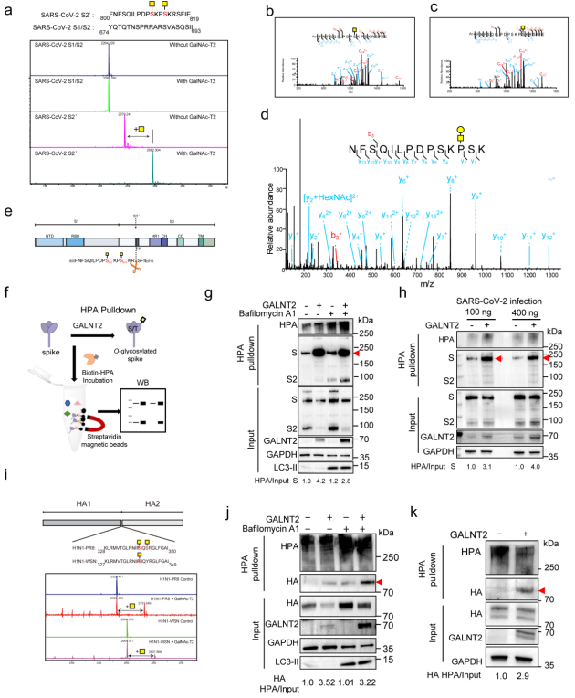 1765765345925374.png 1765765345925374.png