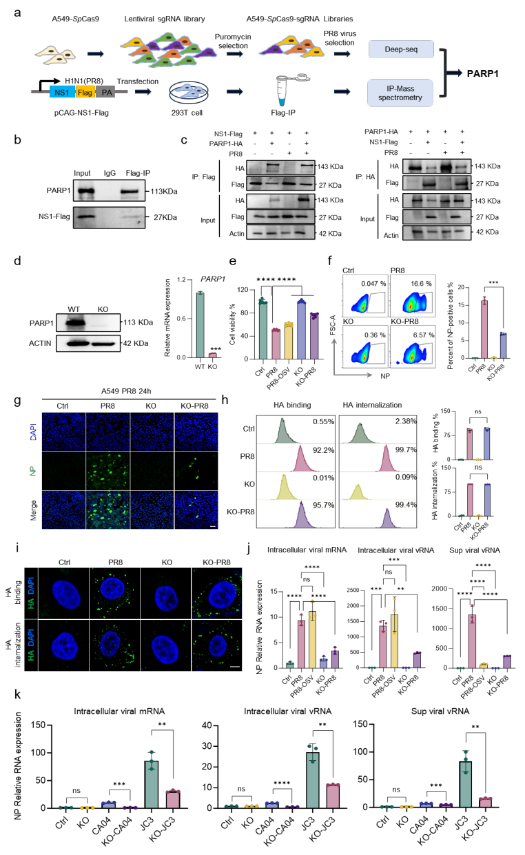 1792382026336713.png 1792382026336713.png
